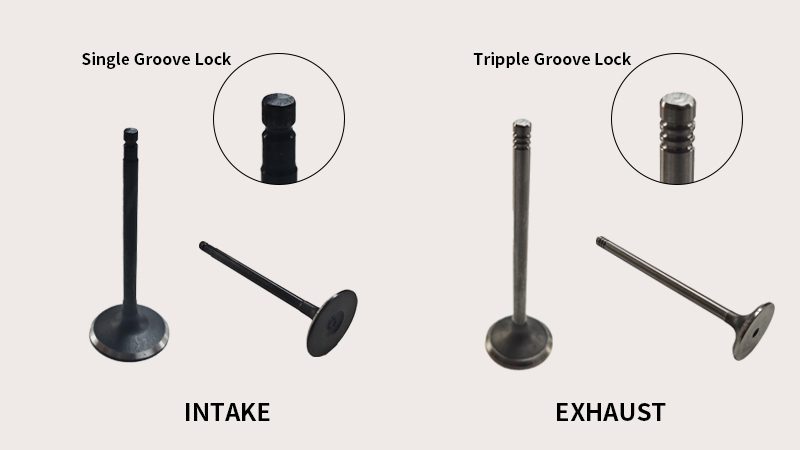 Detailed view of intake and exhaust engine valves, illustrating the difference between single groove lock and triple groove lock designs on the valve stems.