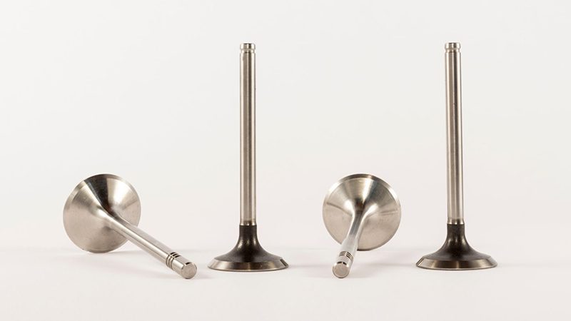 Close-up view of multiple engine valves laid out in a row, highlighting the valve heads and stems with metallic detail.