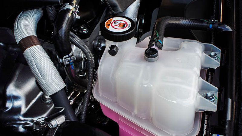 Car coolant reservoir filled with pink antifreeze liquid.