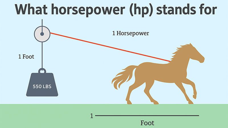 Infographic of a horse visually representing how to measure horsepower
