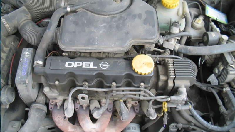 Corsa 1.2 petrol engine under the hood showing engine layout.