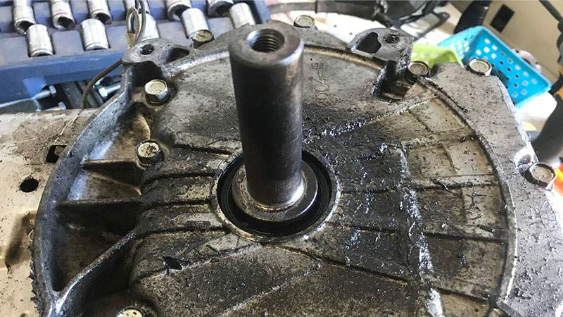 Leaking oil seal on a small engine showing oil seepage around the crankshaft area.
