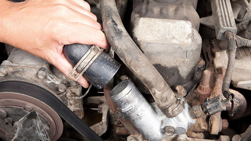 Mechanic installing vehicle radiator hose as part of engine coolant system maintenance.