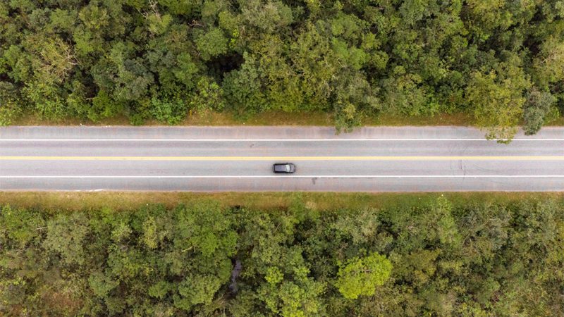 Car driving through a lush green environment, symbolizing the environmental impact of vehicles on nature