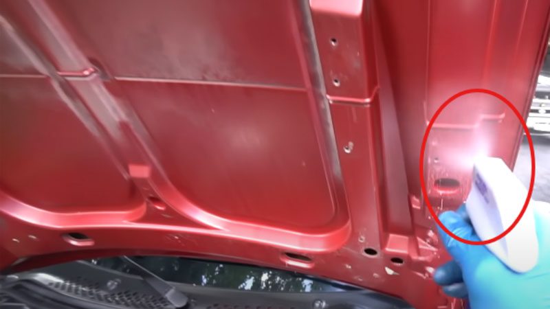 Reinigen der Motorhaube außerhalb des Motorraums.