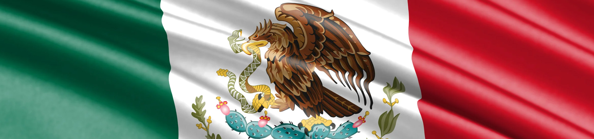 Mexican flag background