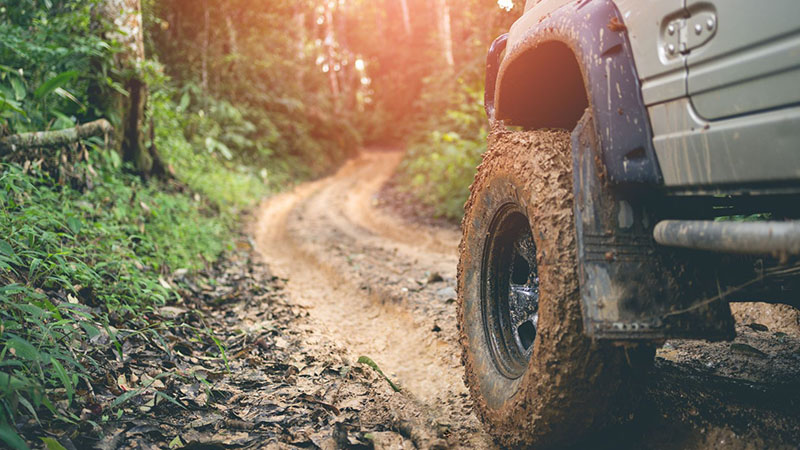 Muddy car wheels in forest terrain under harsh driving conditions.